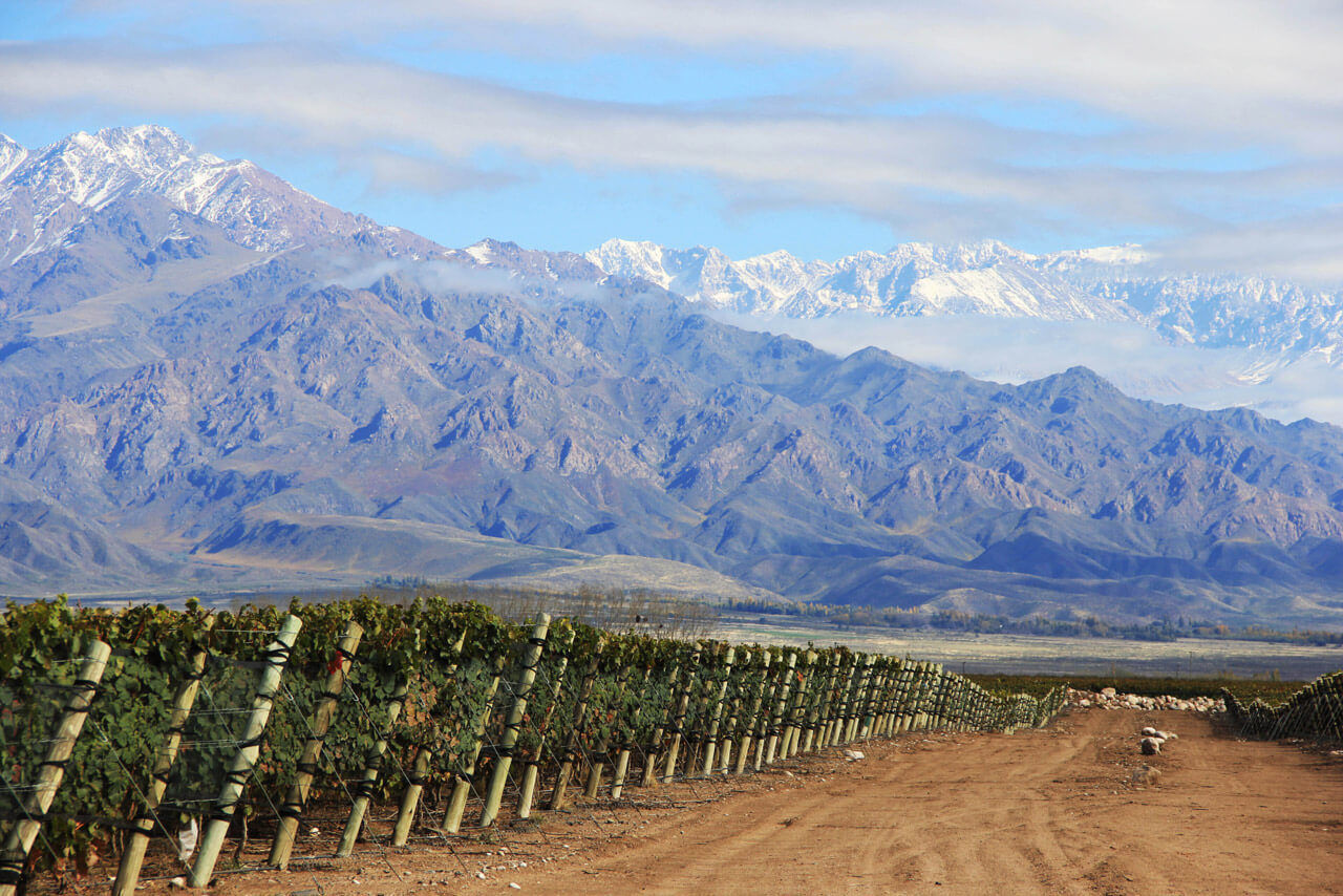 Full day Wine Experience Zona Centro