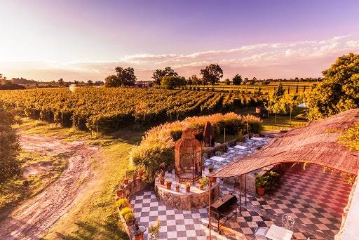 Degustación en bodegas