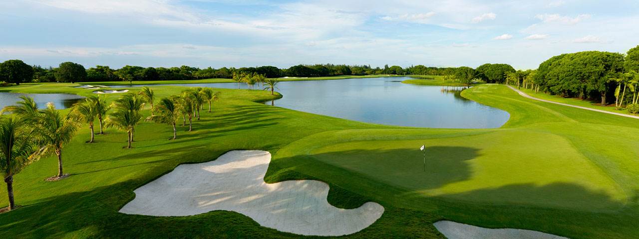 The Golden Palm - Trump National Doral