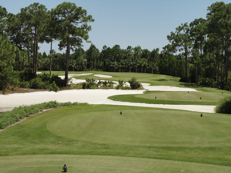 The Old Collier Golf Club