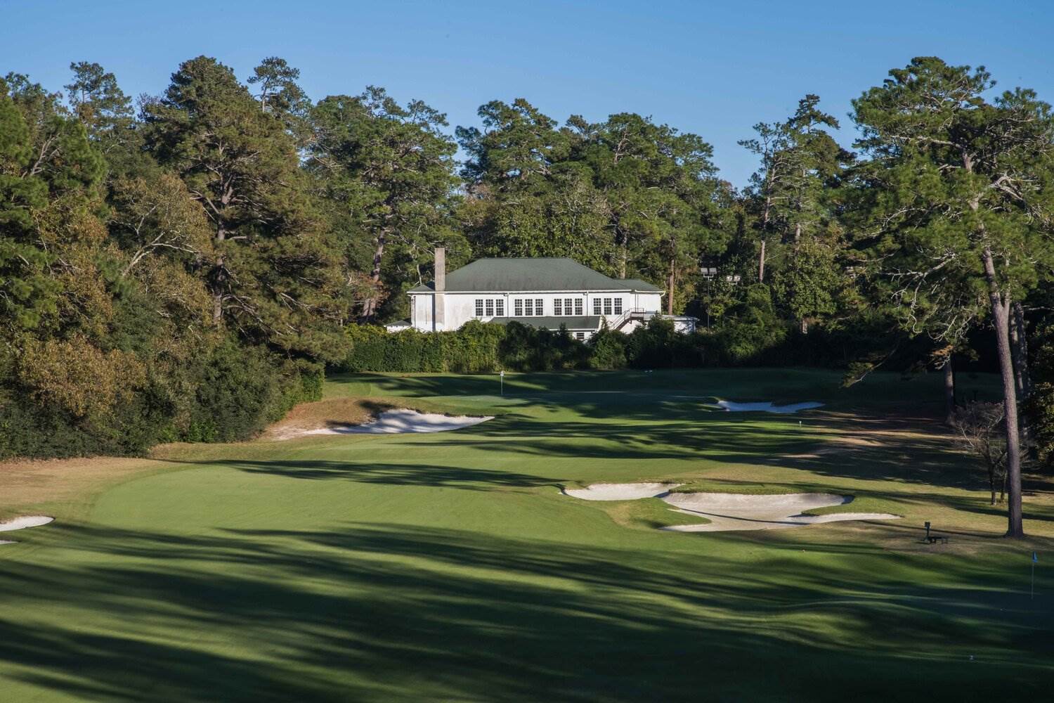 Palmetto Golf Club 