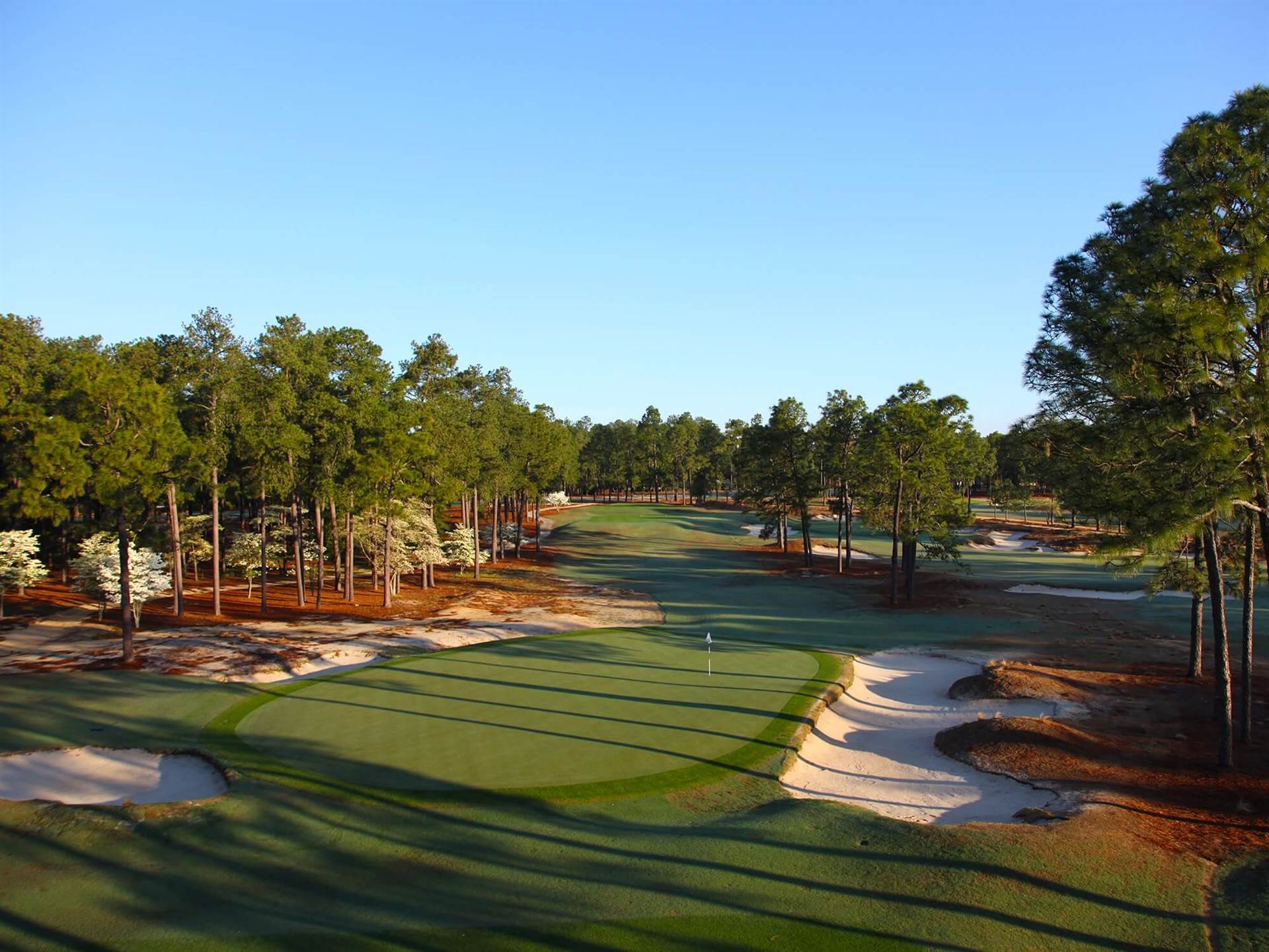 Pinehurst #2