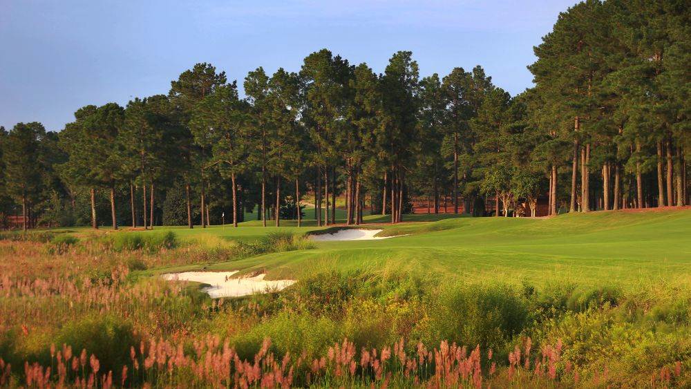 Pinehurst #8