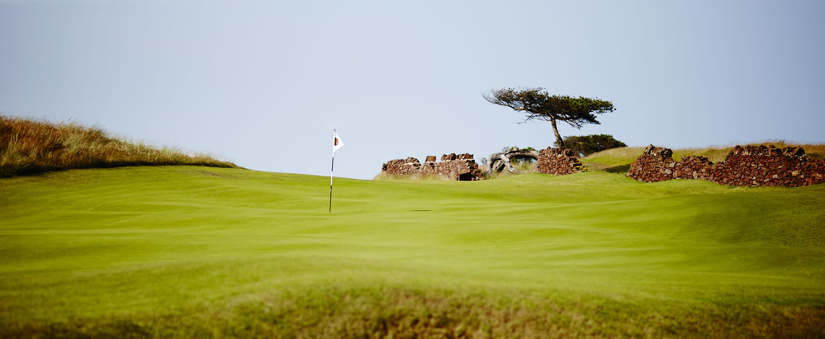 The Renaissance Club